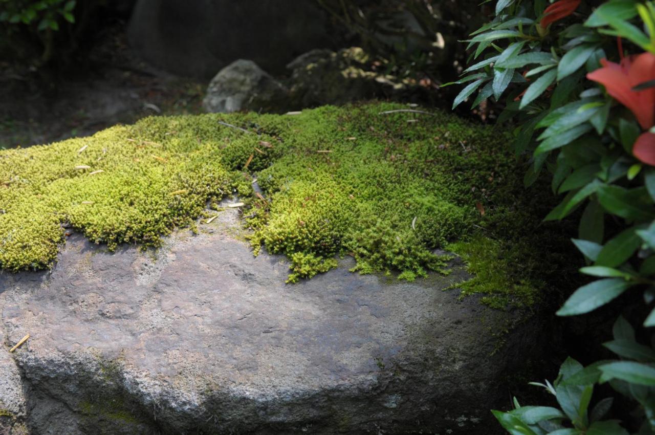 Historical Ryokan Senyukan Owani Luaran gambar