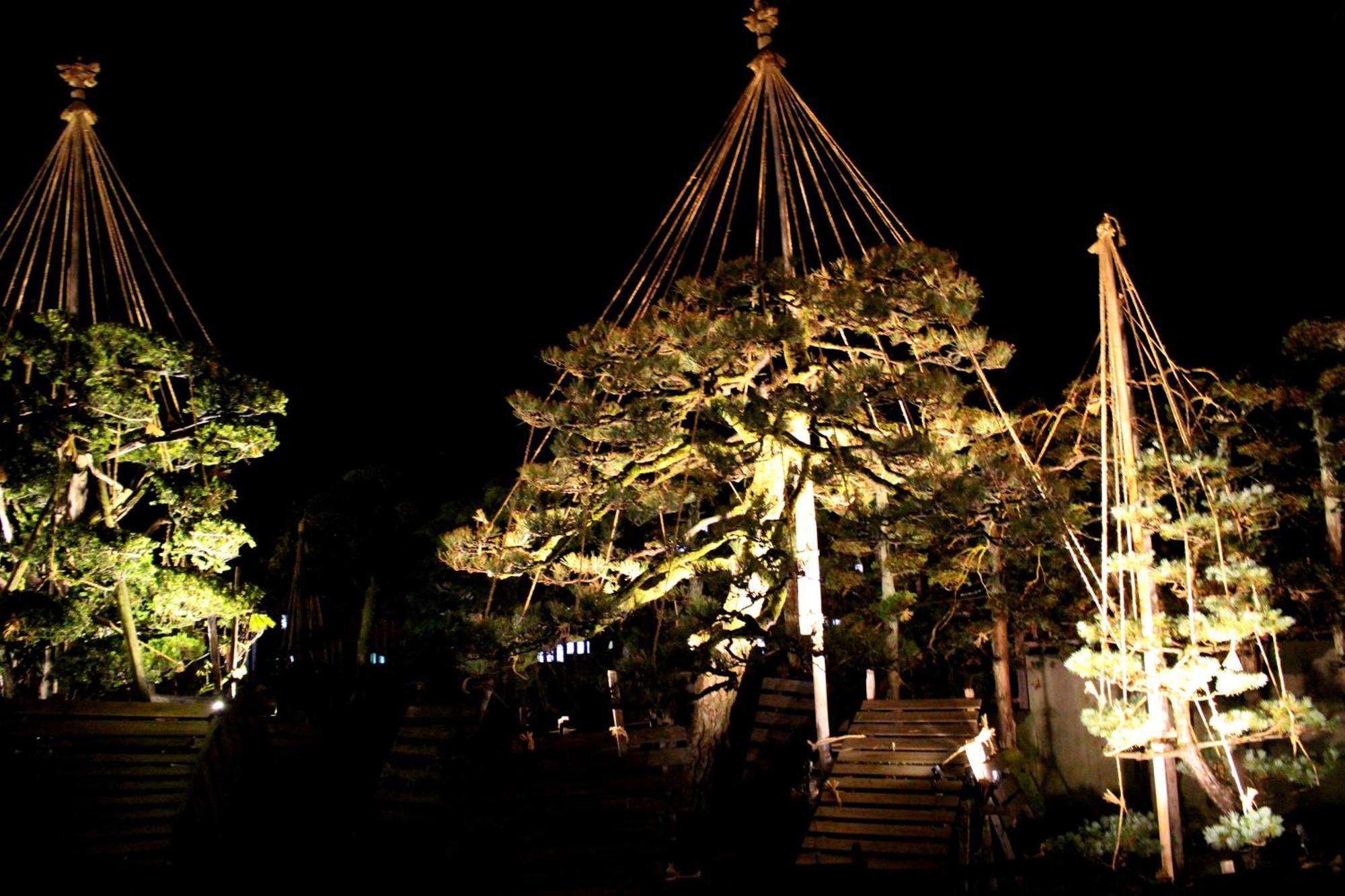 Historical Ryokan Senyukan Owani Luaran gambar
